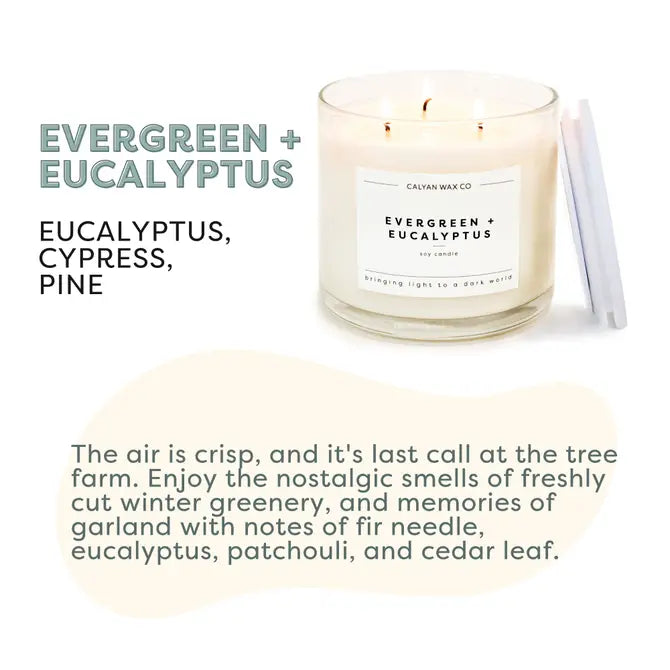 Evergreen + Eucalyptus - 3 Wick Clear Glass Tumbler Soy Candle