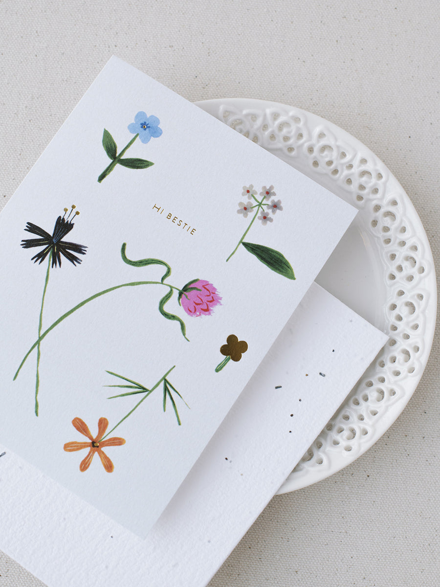 Quirky Petals Just To Say Hi Plantable Card